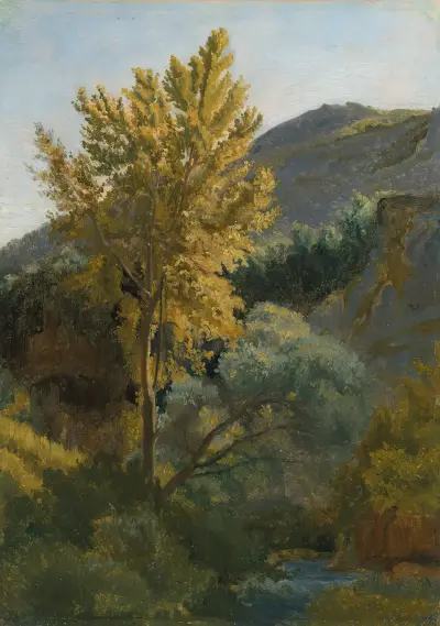 Etude d’arbre près d’un torrent en Italie av Jean-Baptiste-Camille Corot