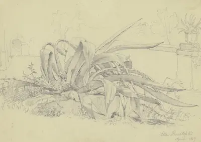 Pflanzenstudie (Agave) aus der Villa Poniatofski av Carl Morgenstern
