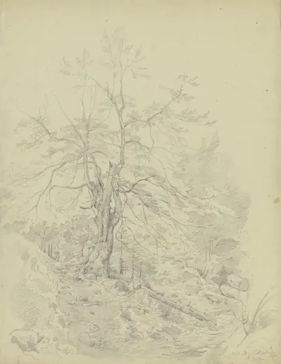 Waldpartie bei Schlehdorf am Kochelsee av Carl Morgenstern