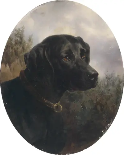 Hector av Carl Reichert