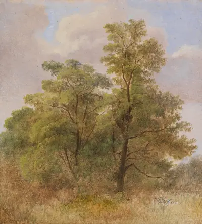 Studium drzewa, Carl Spitzweg