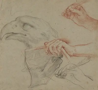 Study for an eagle’s head, three studies for a hand with a quill_and one study for a hand holding a book, Carlo Maratti