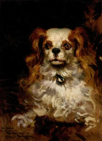 The Duke of Marlborough, Portrait of a Puppy von James Carroll Beckwith