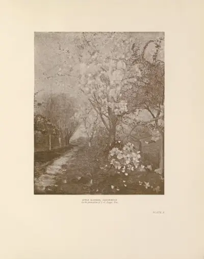 Apple Blossom, Dennemont, Charles Conder