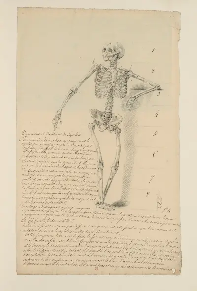 Anatomiehefte Pl. 03 von Charles Monnet