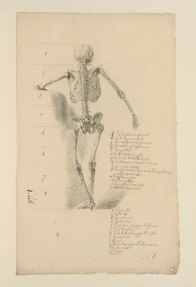 Cahiers d’Anatomie Pl.04 von Charles Monnet