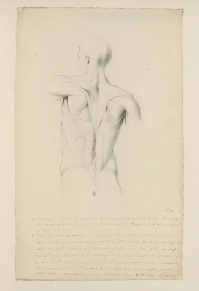 Cahiers d’Anatomie Pl.09 von Charles Monnet