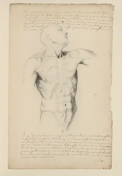 Anatomiehefte Taf. 11 von Charles Monnet