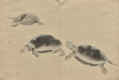 Kōrin Picture Book, tabl. 16, Hōchū Nakamura