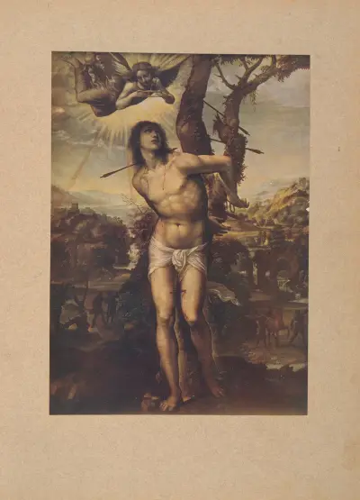Sodoma, S. Sebastiano, Corrado Ricci