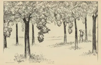 Eine Pfirsischernte von Charles Dana Gibson