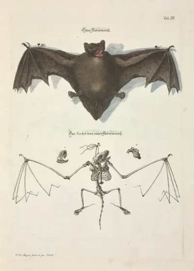 Angenehmer und nützlicher Zeit-Vertreib Pl.003, Johann Daniel Meyer