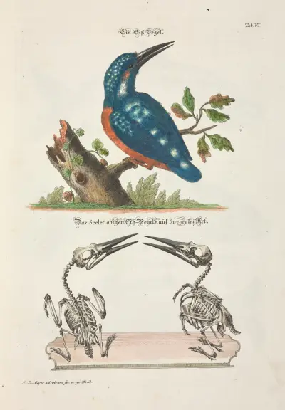 Angenehmer und nützlicher Zeit-Vertreib Pl.006, Johann Daniel Meyer