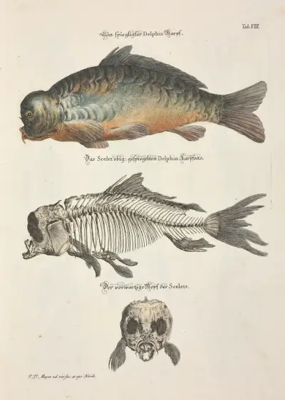 Angenehmer und nützlicher Zeit-Vertreib Pl.008, Johann Daniel Meyer