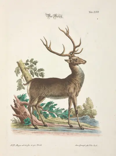 Angenehmer und nützlicher Zeit-Vertreib Pl.022, Johann Daniel Meyer