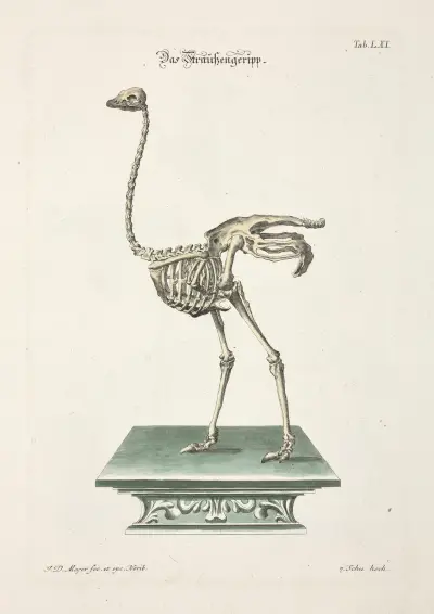 Angenehmer und nützlicher Zeit-Vertreib Pl.061, Johann Daniel Meyer