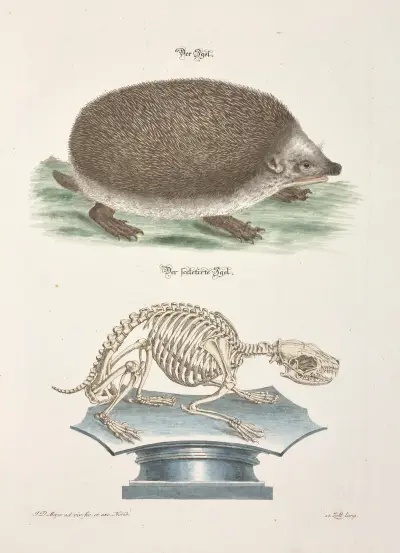 Angenehmer und nützlicher Zeit-Vertreib Pl.095, Johann Daniel Meyer