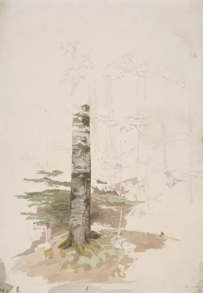 Studie från det inre av en barrskog av Caspar David Friedrich
