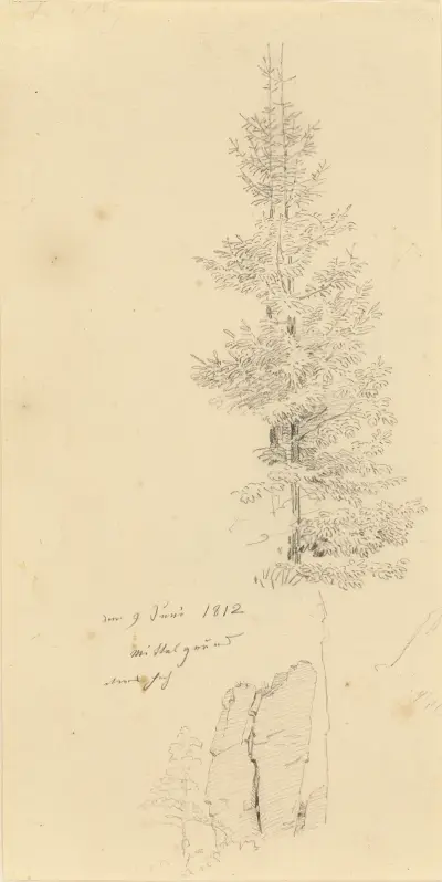 Studie av tallar och en klippa av Caspar David Friedrich