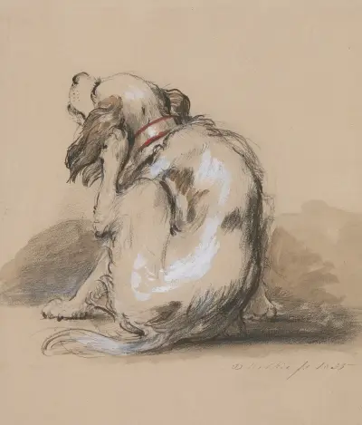 King Charles Spaniel, Sir David Wilkie