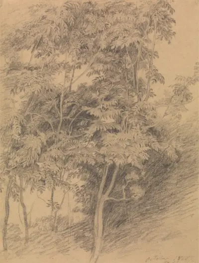 Studium drzewa, Sir David Wilkie