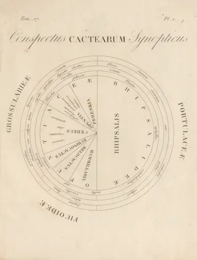 Conspectus Cactearum Synopticus, Augustin Pyramus de Candolle