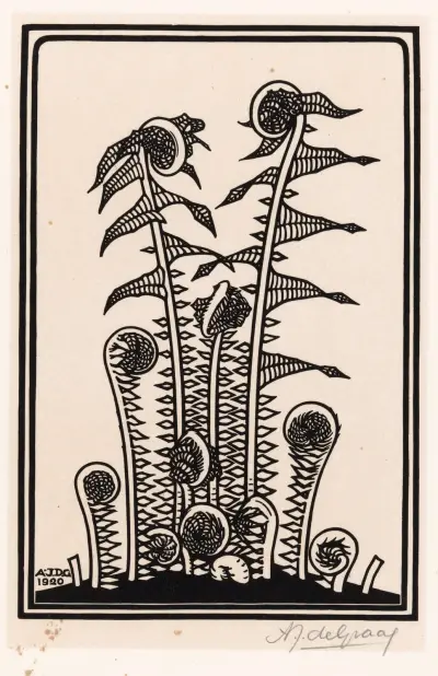 Farn von Julie de Graag