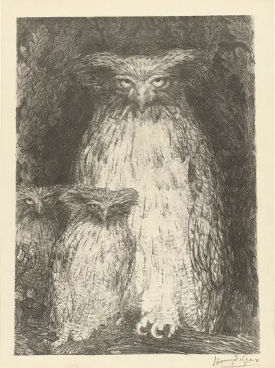 Étude de trois chouettes av Henry de Groux