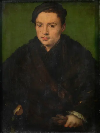 Portrait of a Man 2, Corneille de Lyon