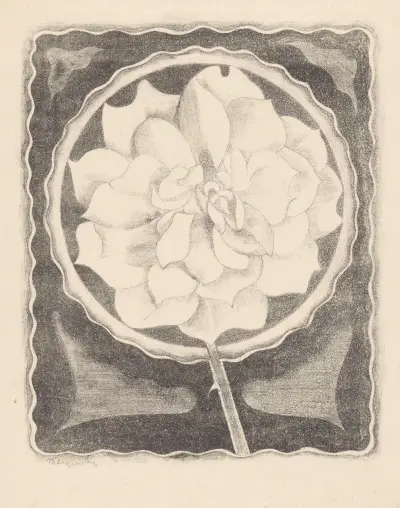 Róża (w okręgu, z falistą krawędzią), Samuel Jessurun de Mesquita