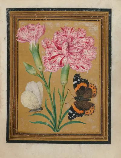 Paintings of Flowers, Butterflies, and Insects Pl.5, Jacques Le Moyne de Morgues