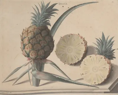 Natural history of Saint Domingue Pl.183, René de Rabié