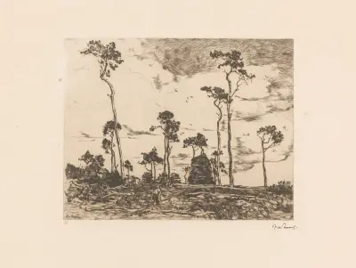 Hackholz geladen, 1896 – Nr. 1 von Willem de Zwart