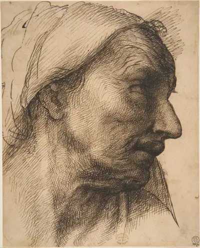 Head of an Old Woman, Sebastiano del Piombo