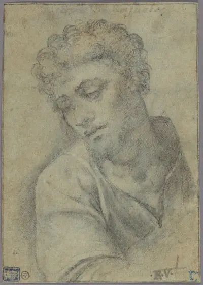 Study for the Figure of Christ Carrying the Cross, Sebastiano del Piombo