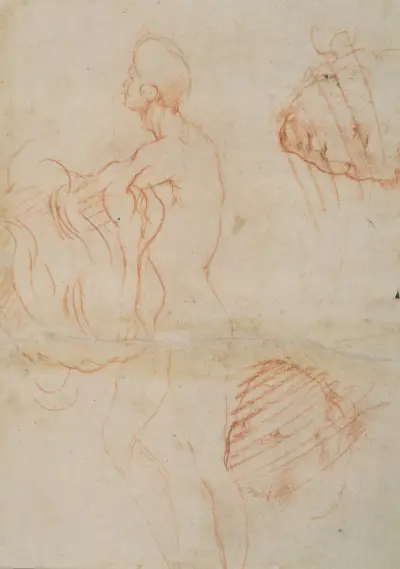 Figure Study and Face av Andrea del Sarto