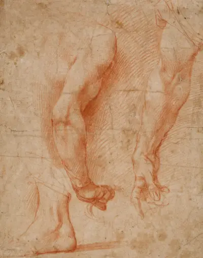 Studien von zwei Armen und eines Fußes av Andrea del Sarto