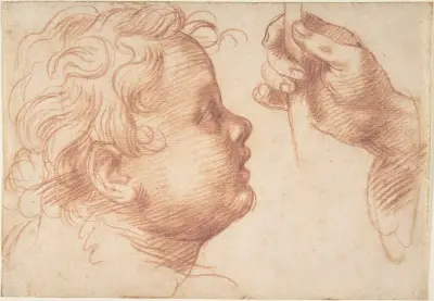 Studies of a Head and a Hand av Andrea del Sarto