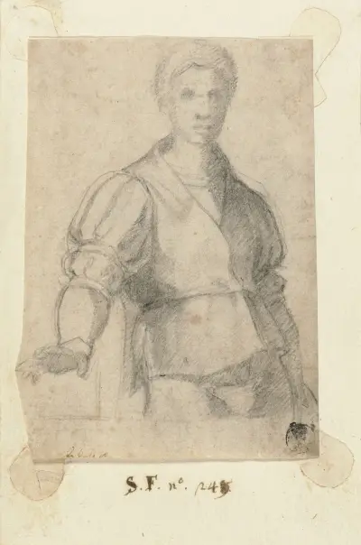 Study of a Young Man av Andrea del Sarto