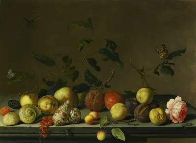Zátiší s ovocem a mušlemi, růží a rozličným hmyzem na kamenné římse, Balthasar van der Ast
