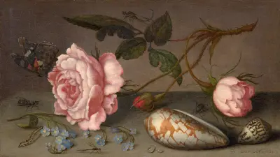 Růže, mušle a hmyz na stole, Balthasar van der Ast