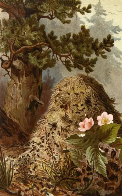 Die Insekten, Tausendfüssler und Spinnen Pl 09, Alfred Edmund Brehm