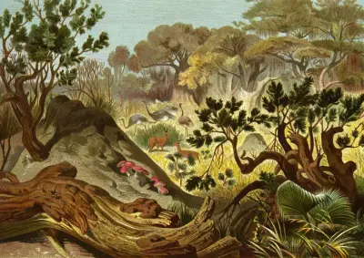 Die Insekten, Tausendfüssler und Spinnen Pl 16, Alfred Edmund Brehm