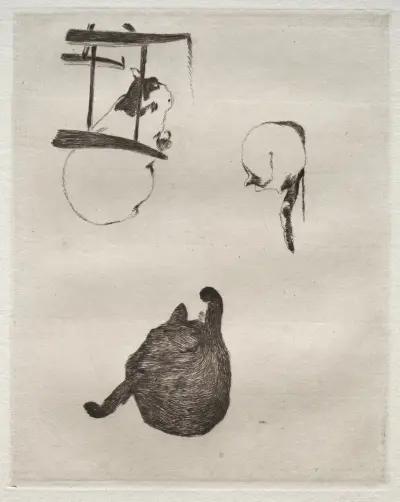 Die Katzen von Édouard Manet
