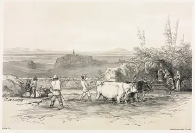 Roiate av Edward Lear
