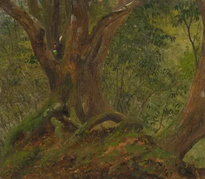 In the woods, Jamaica av Frederic Edwin Church