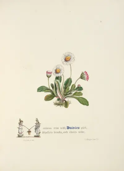 Sedmikrásky, Jane Elizabeth Giraud