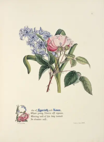 Hyacinth and rose, Jane Elizabeth Giraud