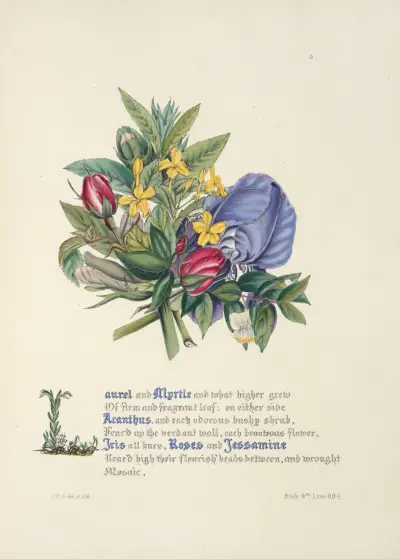 Vavřín a myrta, Jane Elizabeth Giraud