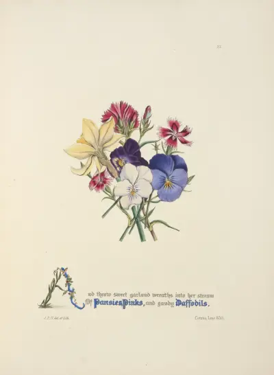 Macešky, hvozdíky a narcisy, Jane Elizabeth Giraud